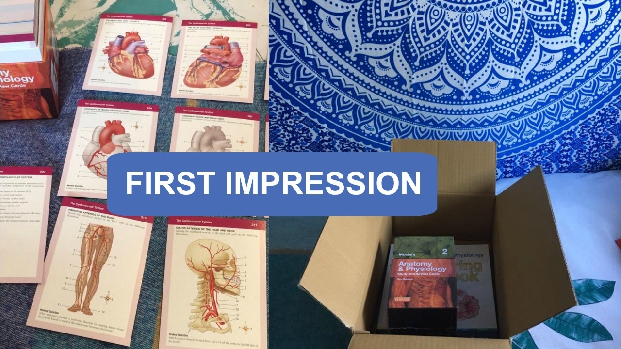 First Impression: Mosby's A&P Review Cards and Colouring Book
