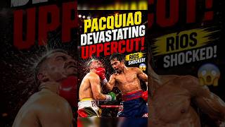 Pacquiao Devastating uppercut #mannypacquiao #pacquiao #pacman #kingboxer #boxing #knockout #boxer