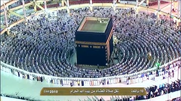 سورة يس | ٥١ - ٧٠ | خالد الغامدي