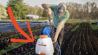 Vermicompost Spray + Soil Balling + Living Pathways + More From the New Farm