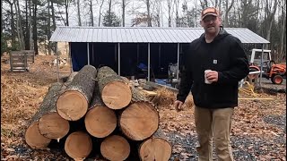 Harvesting White Pine for the WoodMizer LX55 Saw Mill