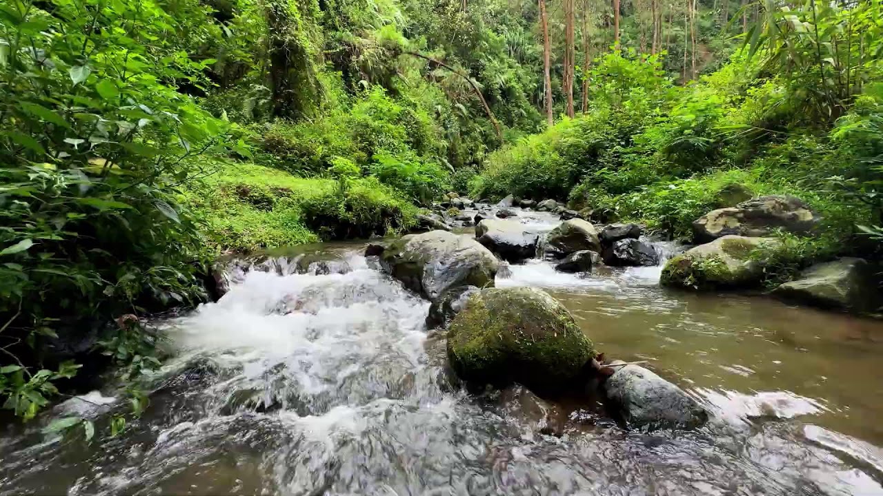 Peaceful river sound near mossy river rocks guiding calm deeper deep sleep tonight