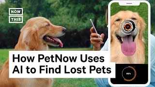 This App Uses Facial Recognition to Identify Lost Pets screenshot 2