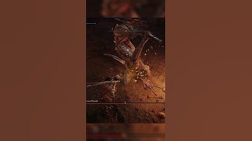 Elden Ring But My Weapon Switches Every Second