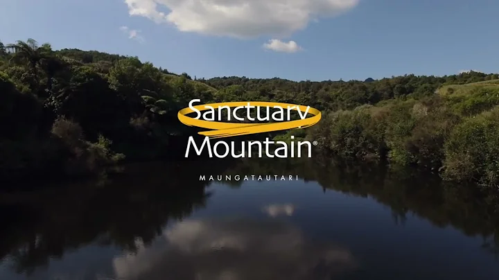 Welcome to Sanctuary Mountain Maungatautari