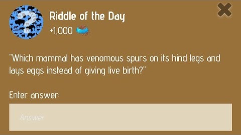 Riddle Of The Day Zoo 18 December | Zoo Riddle Of The Day 18 December | Riddle Of The Day Code Zoo