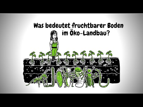 Video: Was Ist Gut An Einer Büroromanze