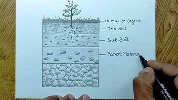 How to draw Layers of soil diagram easily/Layers of soil diagram drawing