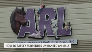 Animal Rescue League of Iowa: Surrender, don't abandon animals this summer