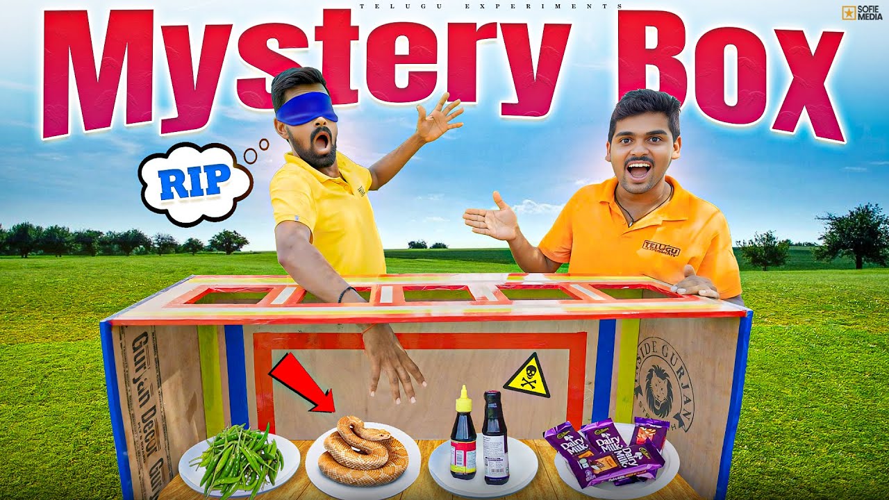 Mystery Box Challenge with Fish Sauce Gone Wrong 🤮🤢 Telugu Experiments