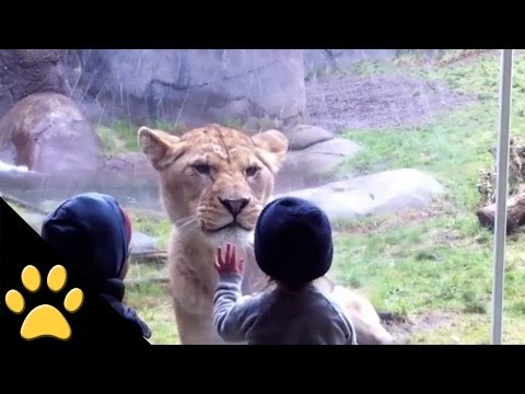 Kids At The Zoo