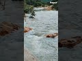 Rapur..🌿🤍 #shorts #rapur #nature #waterfall #peaceful #memories #life #mountains
