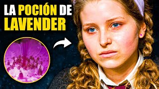 Las 5 Teorías MÁS PERTURBADORAS de Harry Potter - Teorías de Harry Potter