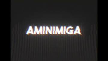AMiNIMiga (Official) Setup process