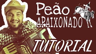 TUTORIAL PEÃO APAIXONADO (Rio Negro e Solimões) - GUSTAVO BELTRÃO