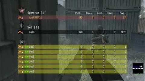 How to Play COD4 Multiplayer with Bots