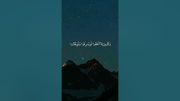 والذين يبيتون لربهم سجدا وقياما // حالات واتس اب قران كريم 🌱🧡