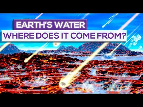지구의 물은 어디에서 왔습니까?