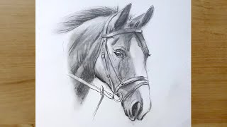 At Resmi Çizimi Nasıl yapılır | Adım Adım At Çizimi | Karakalem Çizimleri | How To Draw Horse