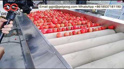 Video of Tomato Pulp /Tomato Juice /Sauce Ketchup Production Line - gelgoog.com