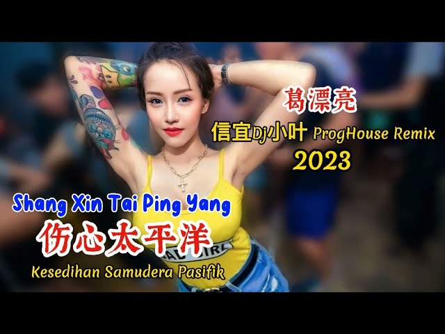 葛漂亮 - 伤心太平洋 - Shang Xin Tai Ping Yang - (信宜Dj小叶 ProgHouse Remix 2023) - Kesedihan Samudera Pasifik class=