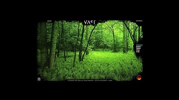 Vast flash website in 2003