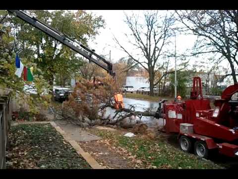 Abe Lincoln Tree removal grapple crane to grapple - YouTube