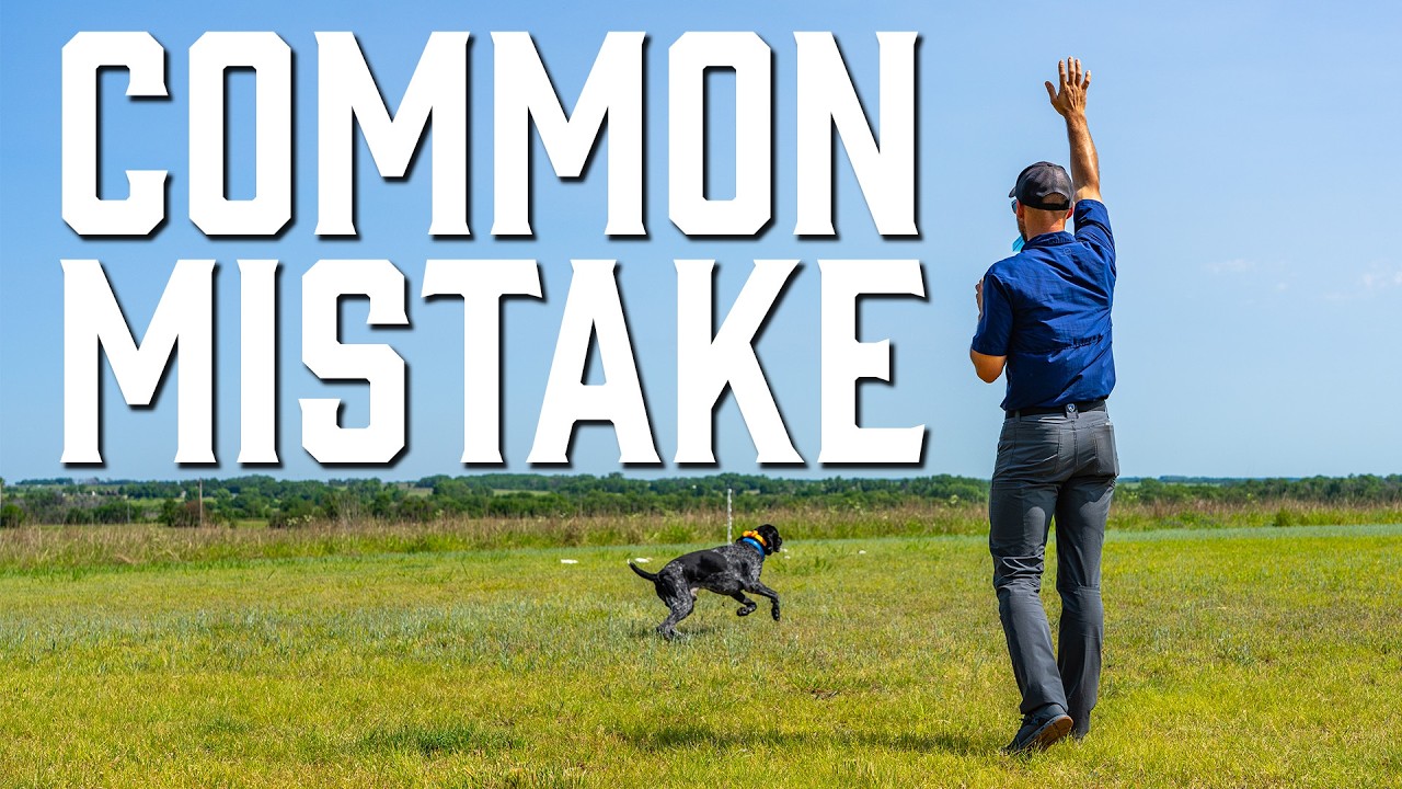 This Drill FIXES Back Casting Struggles in Blind Retrieves