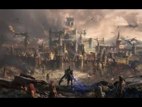 LINEAGE II - Amerika - SIEGE 24.11.2024 - Amerika High Five PvP