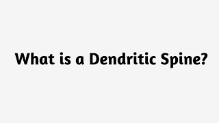 What is a Dendritic Spine ?