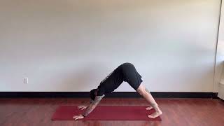 PPSC Mobility - Plank to Pike