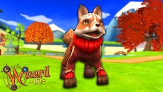 Wizard101: BEST RESIST PET!!