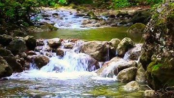 رعد الكردي - تلاوة خاشعة من سورة النساء - الآية [116 - 126]