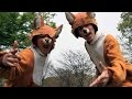 Ylvis - The Fox パロディーしました!!　What Does The Fox Say?parody by SAGAMIMAC