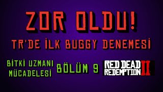 RDR2 Bitki Uzmanı Mücadelesi [43 Farklı Türden Ot Toplama] (Herbalist Challenge) #9 #rdr2 #oyun