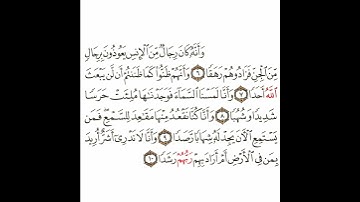 سورة الجن 2 القسم الثاني تكرار كيفي من .. وأنه كان رجال من الإنس  .. إلى .. أم أراد بهم ربهم رشدا
