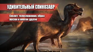 УДИВИТЕЛЬНЫЙ СПИНОЗАВР. Размеры ,скелет и многое другое о Спинозавре.