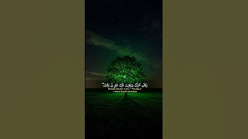 #القارئ ياسر الدوسري #ehsas_quran #quran #قرآن #ياسر_الدوسري #viralvideo #viral