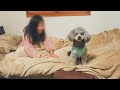 視聴者さんを家に泊めてみた