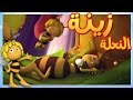 مايا النحلة - النحلات النائمات