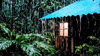 Erase Mental Fatigue: A Lonely Wooden Shelter in a Brutal Tropical Storm