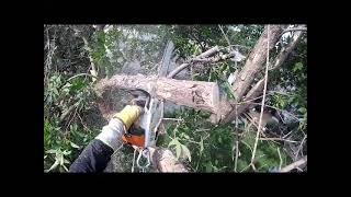 Broken Ash Climb