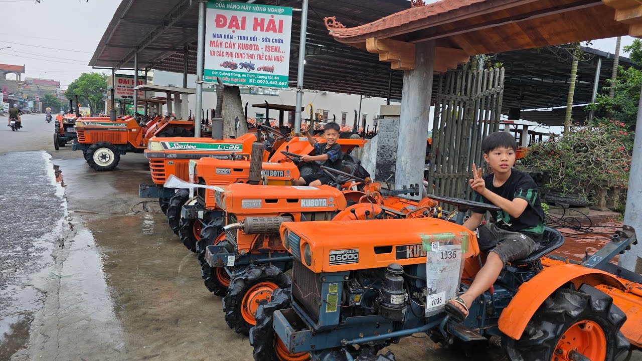 NÔ  HÀNG TRÂU  NHỎ  GIÁ VÀI  CHỤC  TRIỆU  VỀ   PHỤC  VU CÁC BÁC ĐẦU  THÁNG