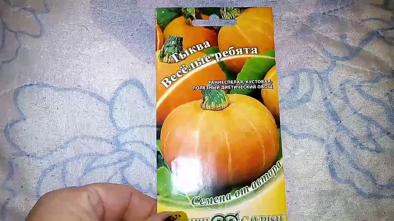 тыква золушка 1г гавриш. тыква крупноплодная улыбка. тыква стопудовая. тыква веселые ребята. семена гавриш ленивый огород тыква золушка 1 г.
