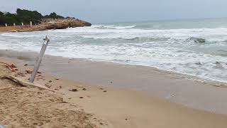 Playa Arrabassada (Tarragona-Cataluña-Spain)(19/03/22)