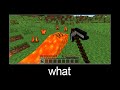 Minecraft wait what meme part 42 (Lava breaks)