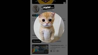 hater.....