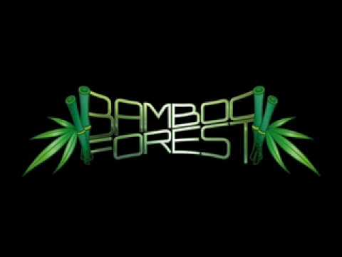 DJ Antaro — Bamboo forest - Still