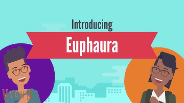 IBM Call for Code 2020 - Euphaura