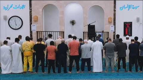 "نحن خلقناهم وشددنا أسرهم" سورة الإنسان رائعة لأبي حفص هاني ابن نورالدين